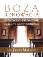 Okładka Boża renowacja. Praktyczny przewodnik dla księży i liderów parafialnych